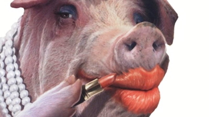 Putting Lipstick on a Pig